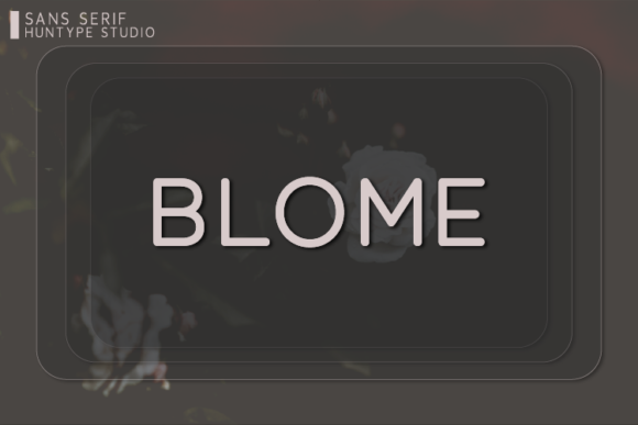 Blome: A Modern Sans Serif for Web Design