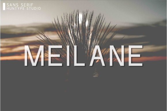 Meilane: A Simple, Stylish Font for Makers