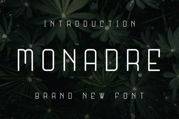Monadre: A Modern Typeface for Digital Marketing