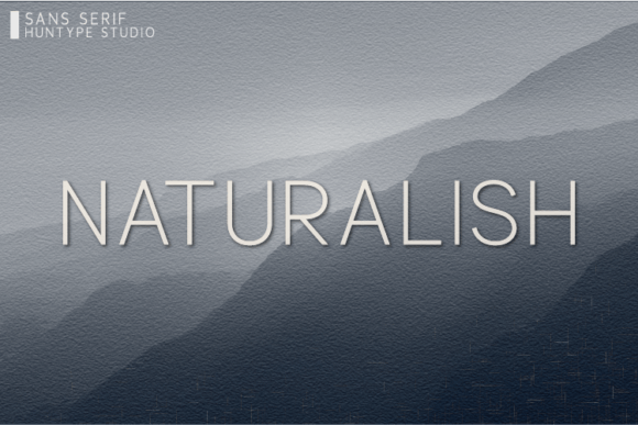 Naturalish: A Versatile Sans Serif for Web Design