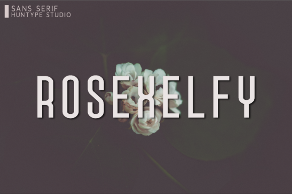 Rosexelfy: A Simple Sans Serif for Branding