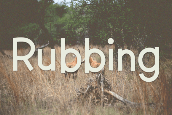 Rubbing Font: Modern Typography for Crafters