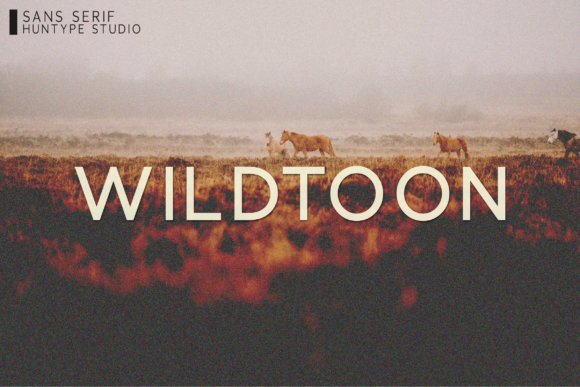 Wildtoon: A Modern Sans Serif